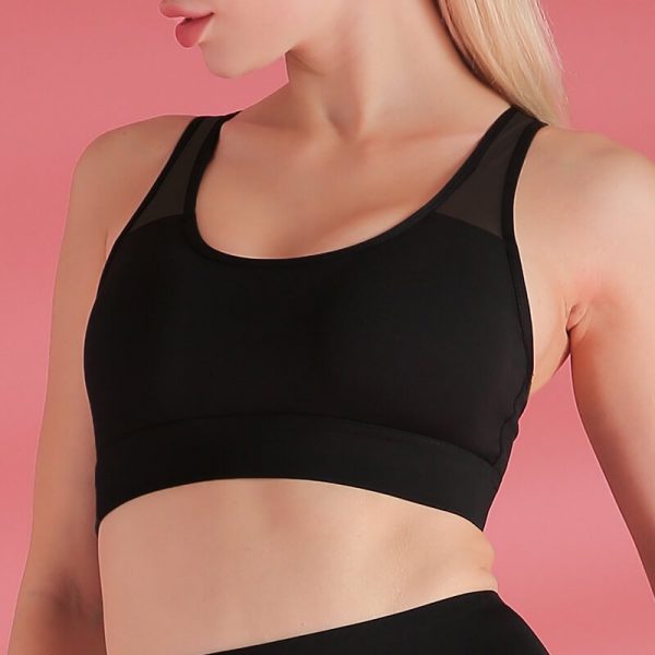 Sunbear Sport Sports Bra, spotswear drop shipping